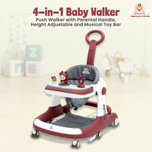 Infantso Teddy Steady 4-in-1 Baby Walker: Walker, Bouncer, Feeding Tray, & Push Toy - Adjustable Height & Speed - 6-24 Months