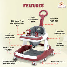 Infantso Teddy Steady 4-in-1 Baby Walker: Walker, Bouncer, Feeding Tray, & Push Toy - Adjustable Height & Speed - 6-24 Months