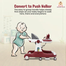 Infantso Teddy Steady 4-in-1 Baby Walker: Walker, Bouncer, Feeding Tray, & Push Toy - Adjustable Height & Speed - 6-24 Months